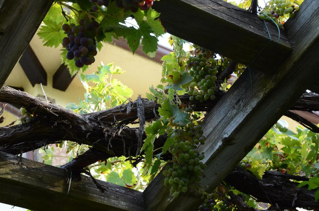 Albergo Pian Del Bosco Novafeltria 外观 照片